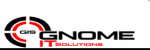 GNOME IT SOLUTIONS LLC